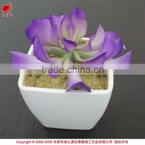 Mini Potted Succulents Plants Factory Selling Mini Artificial Succulents thumbnail-1