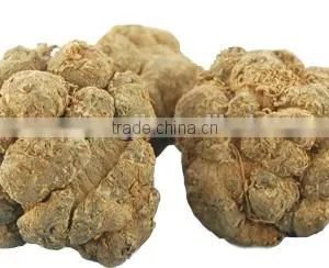 Free Shipping 100% Natural Panax Notoginseng Root P.E. Promote Blood Circulation & Memory Pseudo-Ginseng/Panax Notoginseng thumbnail-1