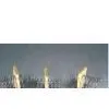 Toast Rack thumbnail-1