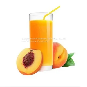 Fruit Juice Processing Line thumbnail-3
