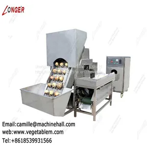 Onion Processing Machine Line|Onion Peeling and Root Cutting Plant|Onion Skin Remover Low Price thumbnail-2