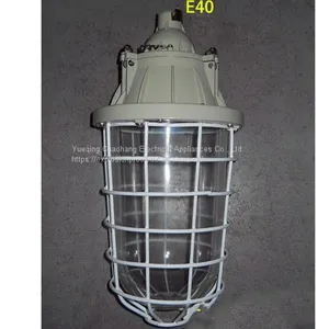 250W Extension Explosion-proof Lamp Waterproof Dustproof Lamp Explosion-proof Energy-saving Lamp BAD54 thumbnail-1