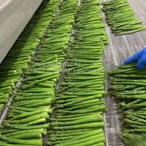 IQF Green Asparagus thumbnail-1