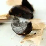 Aged Black Garlic thumbnail-1