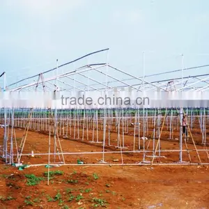 Agriculture Greenhouse thumbnail-1