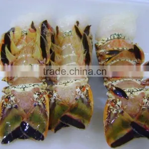 Frozen Lobster Tails thumbnail-2