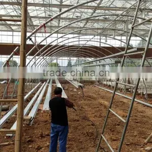 Single Span Galvanized Hoophouse thumbnail-1