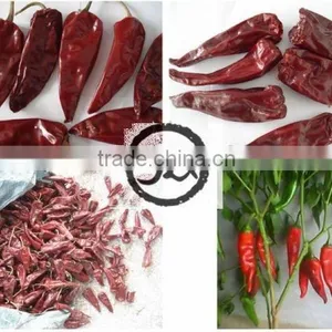 SHU 8000~30000, Red Hot Chilli thumbnail-4