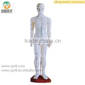 High Quality Standard Acupuncture Model (male) 60CM thumbnail-1