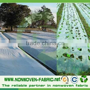 Agriculture Use Biodegradable 100% PP Spunbond Nonwoven Fabric/Landscape Fabric thumbnail-2