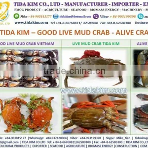 TIDA KIM ITOYORI SURIMI FROZEN BIG EYE SNAPPER ESO SEABREAM MIX GS 500 700 900 LOBSTER SHRIMP CRAB KINTOKIDAI GUCHI KOCHI RIBBON thumbnail-3