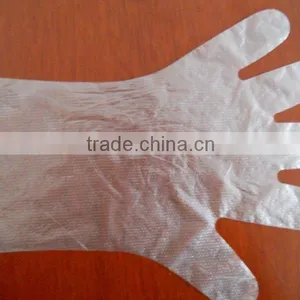 Disposable LDPE Gloves/Food Grade LDPE Glove/Embossed Ldpe Glove thumbnail-1