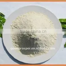 Isolated Soya Protein thumbnail-1