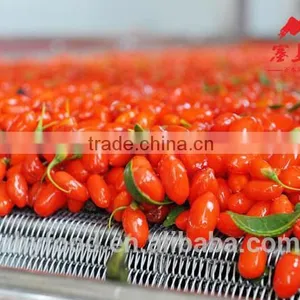 Dried Goji Berry 650grains/50g thumbnail-2