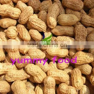 Lower Price Blanched Peanut Kernels Round Type thumbnail-1