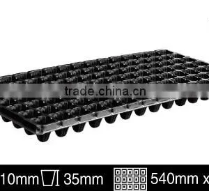 Flower Seeds for Growing thumbnail-4