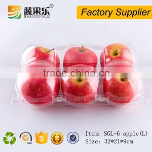 6 Loaded Clear Plastic Packing Box for Orange/apple thumbnail-5