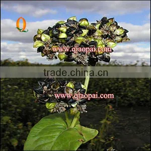 Buckwheat Shelling Machine thumbnail-1