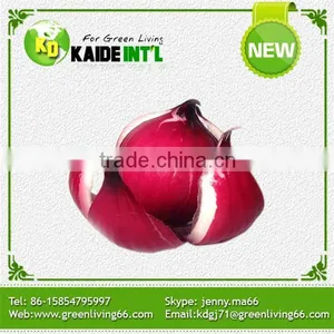 Competitive Price Fresh White Onion thumbnail-6