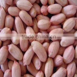 Luhua Blanched Peanut Price From China thumbnail-1
