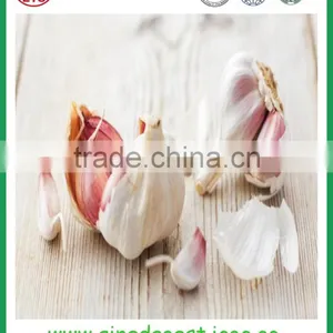 Fresh Jinxiang Garlic Can Use Special Package as Requirement thumbnail-2