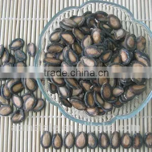 Delicious Colorful Watermelon Seeds thumbnail-1