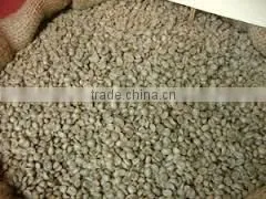 Robusta Green Coffee thumbnail-5