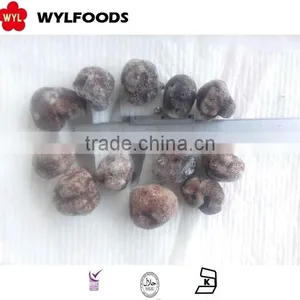 IQF Frozen Summer Truffle High Quality Good Price thumbnail-2