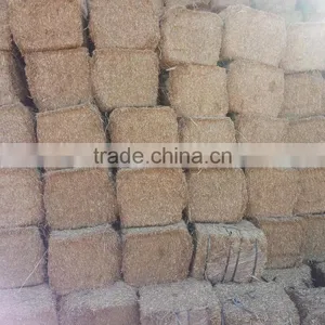 Wheat Straw thumbnail-5