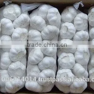 Fresh White Garlic Crop 2016 thumbnail-6