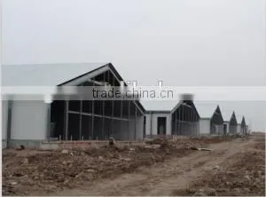 Broiler Chicken House thumbnail-3