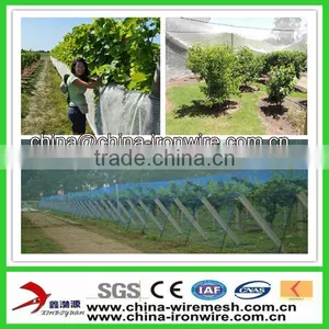 PE Anti Bird Insect Bird Net thumbnail-1