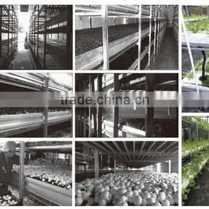 Aluminum Extrusion Profile Planting Frame Fungi Planting Frame With Nice Shape thumbnail-5