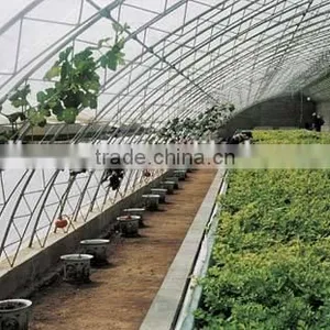 Easily Assembled Polycarbonate Pc Sheet Greenhouse For Agriculture thumbnail-4