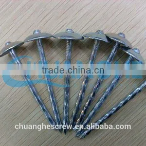 Red Color Head Galvanized Roofing Nail thumbnail-3