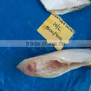 Frozen Leatherjacket Fish HGT thumbnail-5
