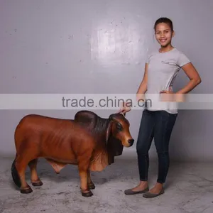 Definitive Brahman Looking Right thumbnail-5