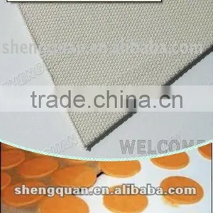 Cotton Canvas Webbing for Biscuit Plant thumbnail-2