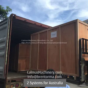 3TPH Australia Ordered Commercial RO Water Reverse Osmosis System thumbnail-5