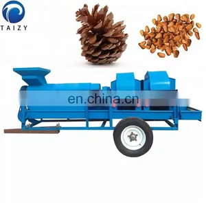 Taizy Automatic Pine Nut Sheller Shelling Machine/pine Nut Processing Machine thumbnail-3