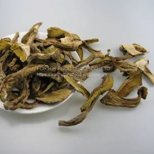 Factory Price Premium Quality Chinese Dried Boletus Edulis Sliced B Grade thumbnail-2