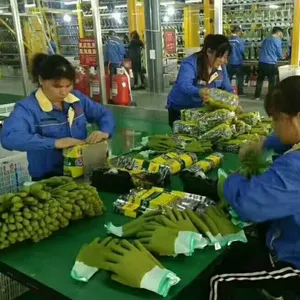 Qingdao Everpro Safety Product Co., Ltd company overview - view 4 thumbnail