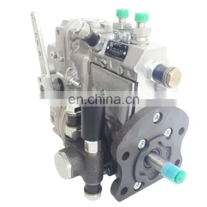 Beinei Engine F2L912D Using Fuel Injection Pump 2232113KY thumbnail-2