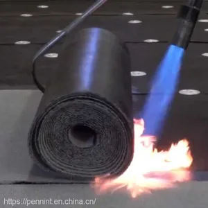 APP/SBS Torch-on Modified Bitumen Waterproofing Membrane Building Material for Basement Mineral Grain thumbnail-4