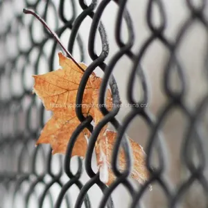 Black Chain Link Fence Chainlink Fence Chain-link Chainlinkfencing Securityfences Commercialfecne Industrialfence Residentialfence Vinyl Chain Link thumbnail-1