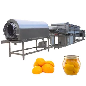 Peach Processing Line Concentration Apricot Production Line Beltline of Fruit Juice thumbnail-1