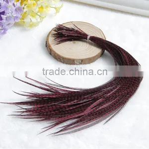 2015 New Arrival Factory Price Real Rooster Feather Hair Extensions Pure Color Feathershair Extension Quality Choice thumbnail-4