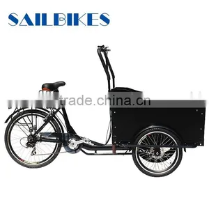 Electric Bicycle Cargo for Family thumbnail-5