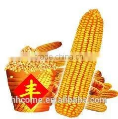 High Efficiency Corn Flour Mill Milling Machine for Sale thumbnail-1