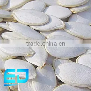 Chinese New Crop Snow White Pumpkin Seeds 11/13CM,Pumpkin Kernels AA/A thumbnail-1